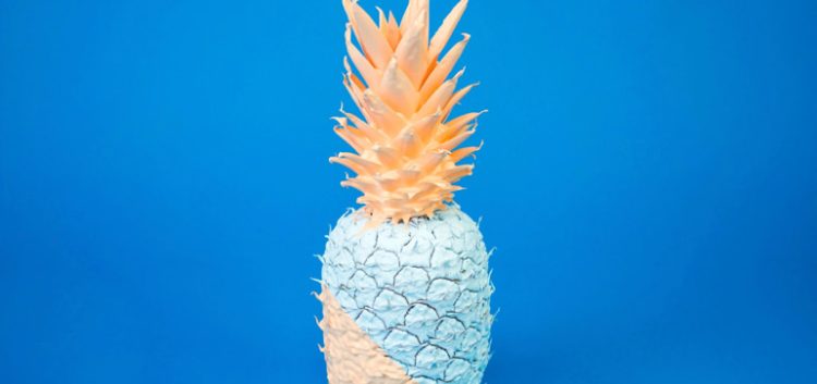 d03-Img-Ananas-1.jpg